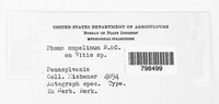 Image Associated With the Occurence